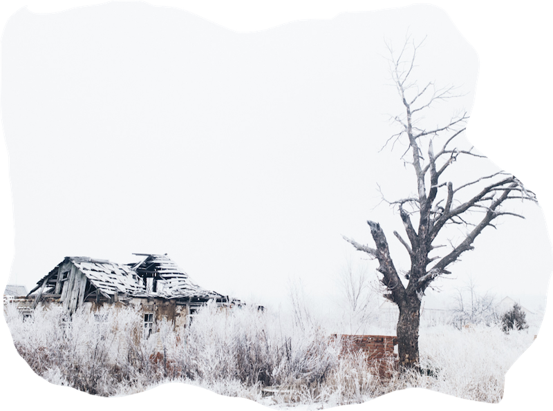 19 Between Life And Death - Life (800x595), Png Download