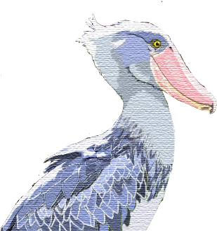 S Number 1 Is For Shoebill Stork - Shoebill Stork Png (376x344), Png Download