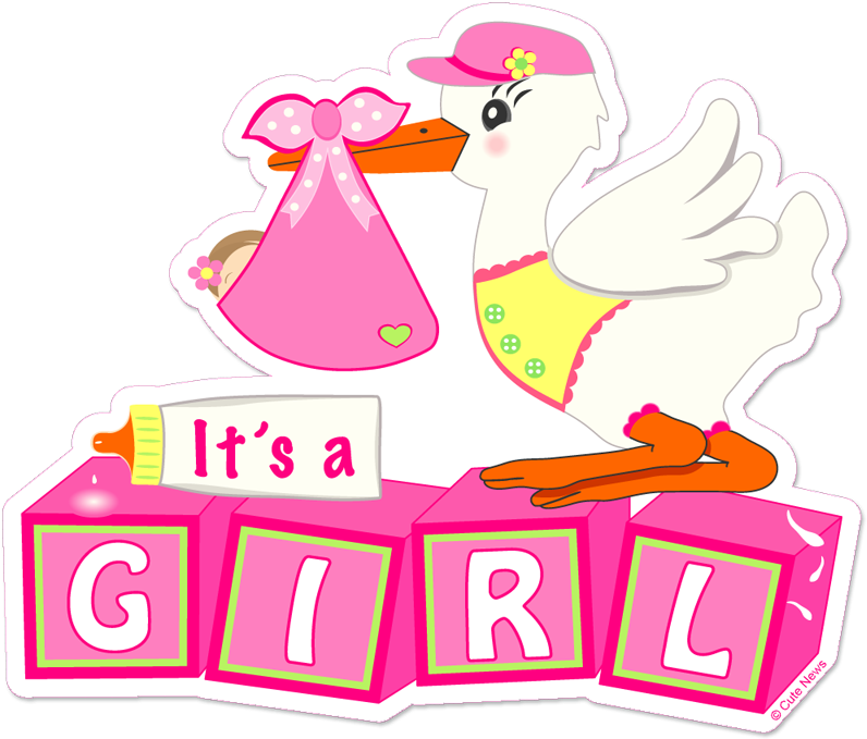 Stork Clipart Transparent - It's A Girl Png (831x837), Png Download