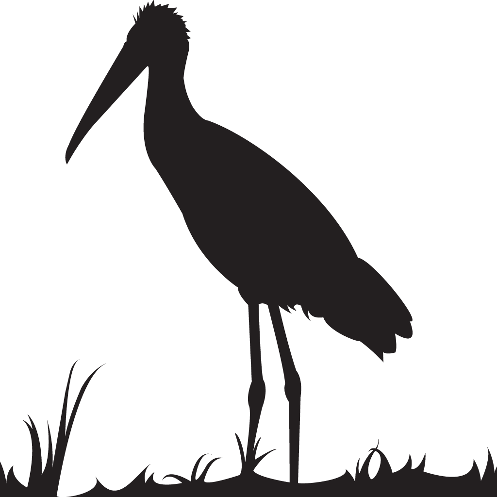 Clip Free Library Baby Silhouette At Getdrawings Com - Stork (1024x1024), Png Download
