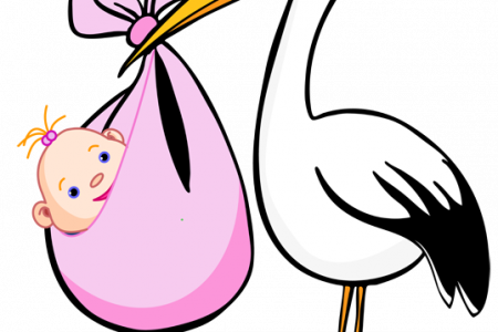 Stork Clipart Pink Stork - Birth Announcement Clipart (450x300), Png Download