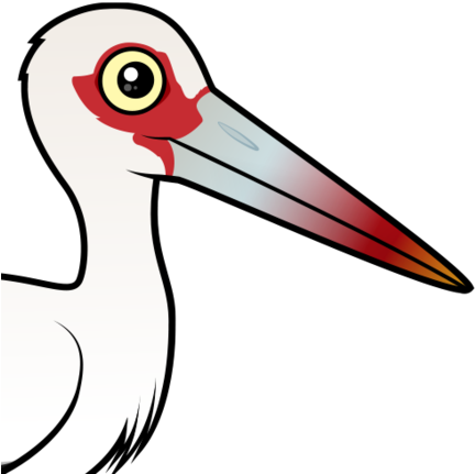 About The Maguari Stork - Maguari Stork (440x440), Png Download