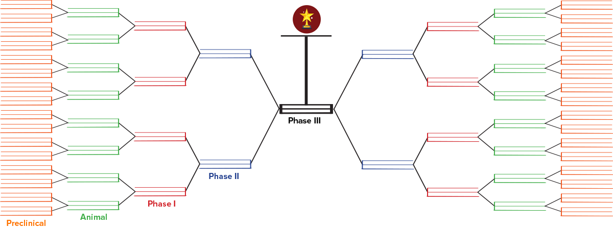 Drug Dev Bracket - Diagram (1200x449), Png Download