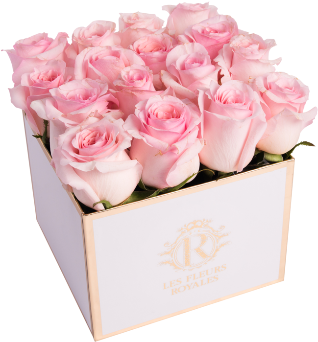 Rose Petal Pink - Garden Roses (1024x1024), Png Download