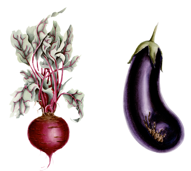 Watercolor Illustrations, Patterns, Design & Layout - Watercolor Painting (780x585), Png Download