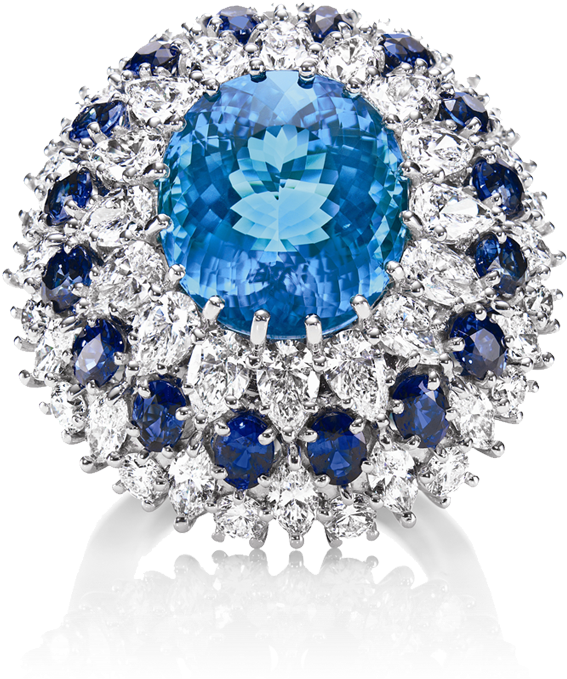Thus Began Winston's Life-long Passion For Acquiring - Harry Winston Jewelry (730x757), Png Download