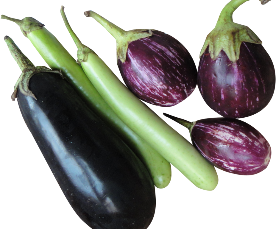 Brinjal Eggplant Png Image - Brinjal Png (1024x768), Png Download