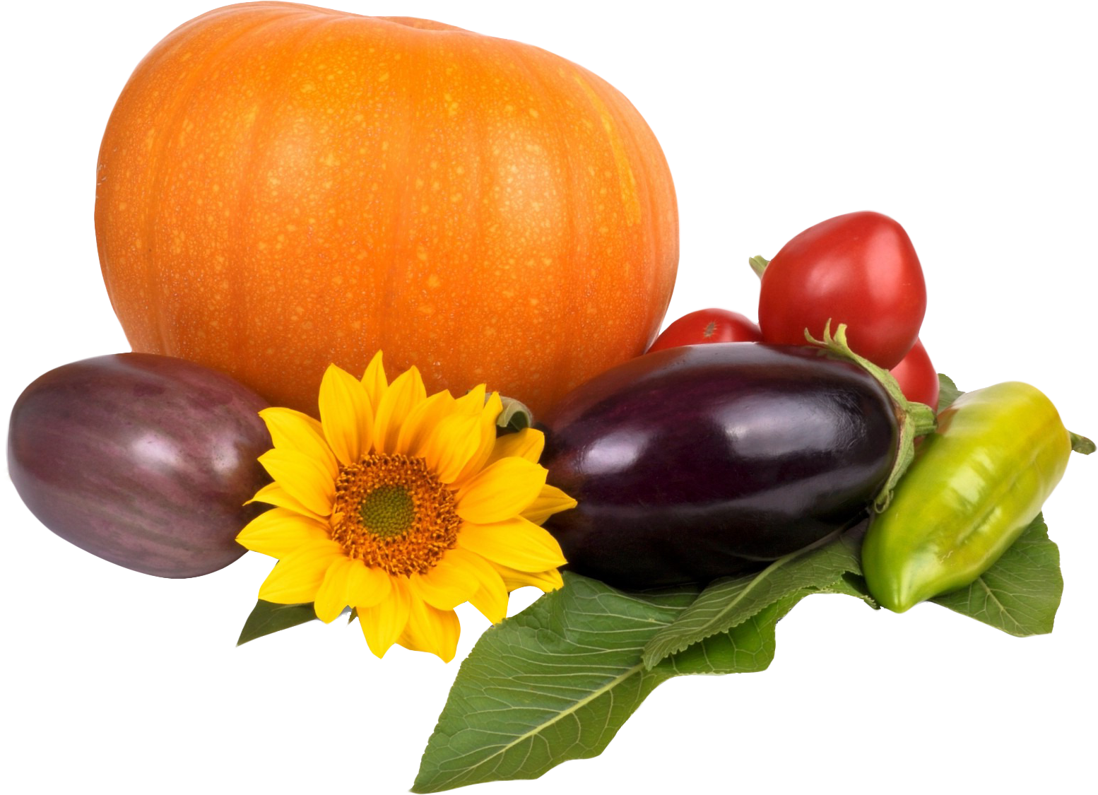Pumpkin Tomato Pepper Eggplant Png Image - Перец Баклажаны Помидоры Png (1670x1221), Png Download