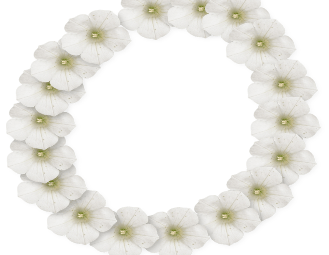 White Flower Frame Png Photo Peoplepngcom Peoplepngcom - Picture Frame (1368x855), Png Download