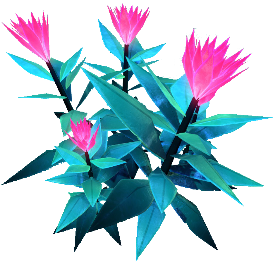 Pink Flower Flora - Flower (1600x900), Png Download