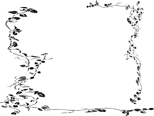 Vine Border Drawings (640x480), Png Download