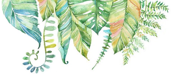 Vintage Car Rental Port Elizabeth - July 2018 Calendar Floral (649x282), Png Download