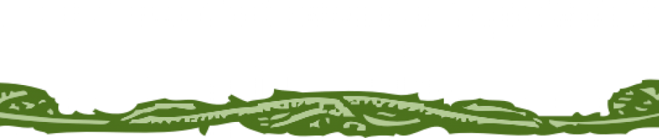 Johnny Automatic Leaf Border - Common Ivy (940x198), Png Download
