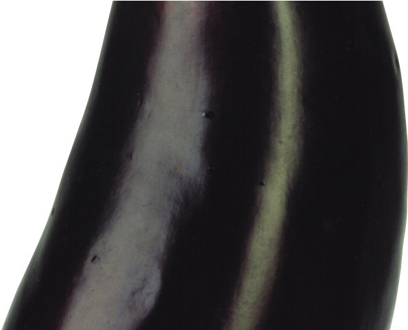 Eggplant Png Transparent Images - Eggplant (640x480), Png Download