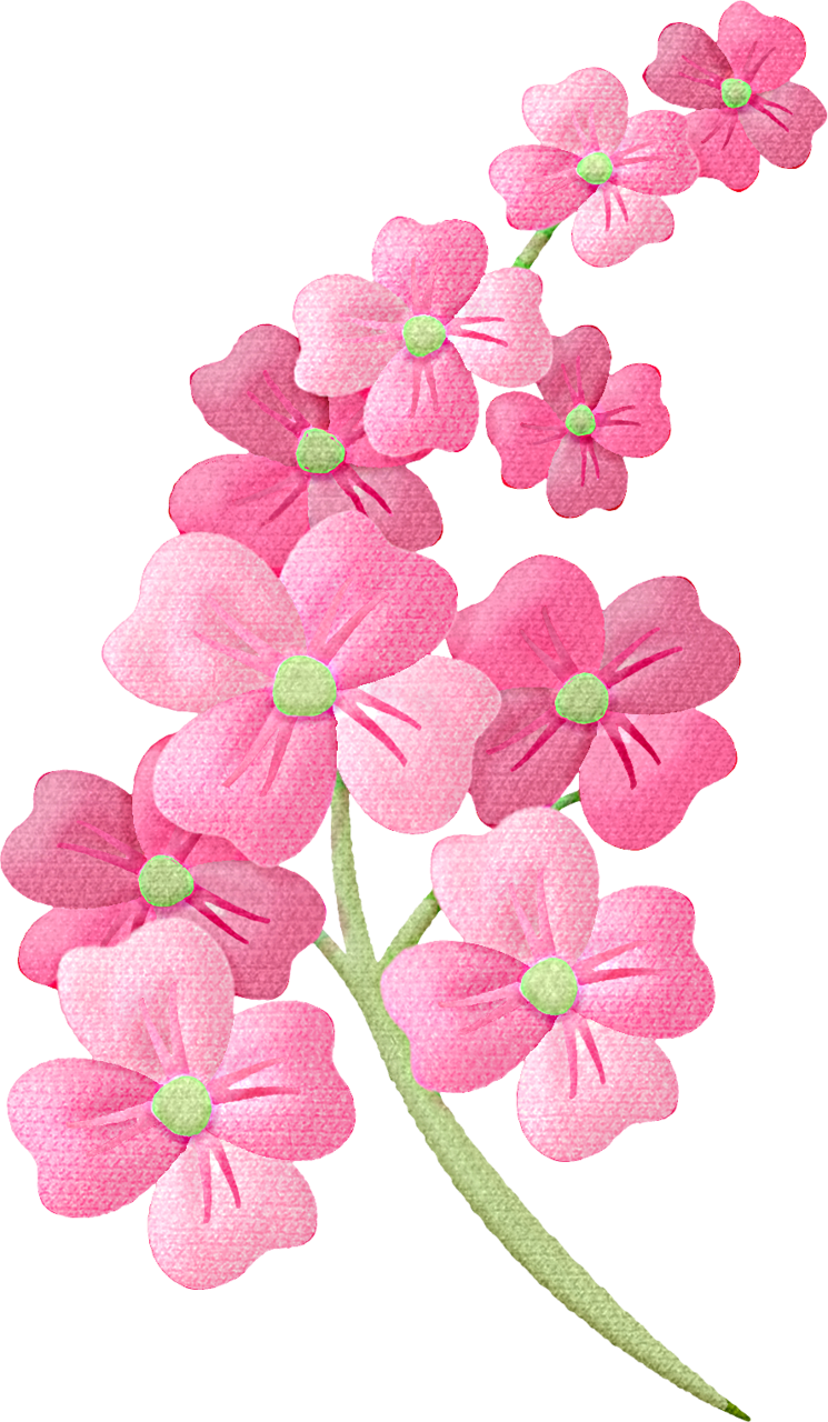 Flower - Pink Flowers Clip Art (745x1280), Png Download