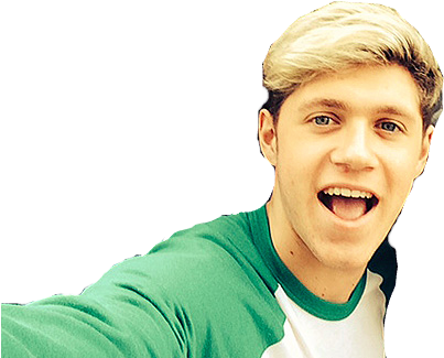 Harry Styles One Direction Wiki Fandom Powered By Wikia - Niall Selfie Png (416x346), Png Download