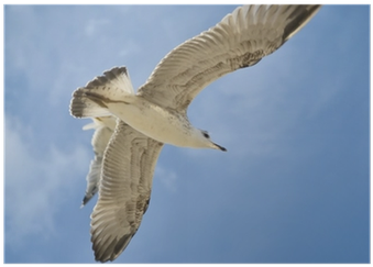 Photograph (400x400), Png Download