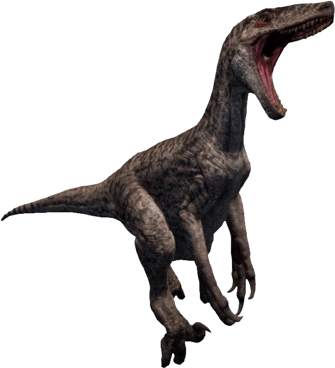 U Raptor - Raptor Png (714x778), Png Download