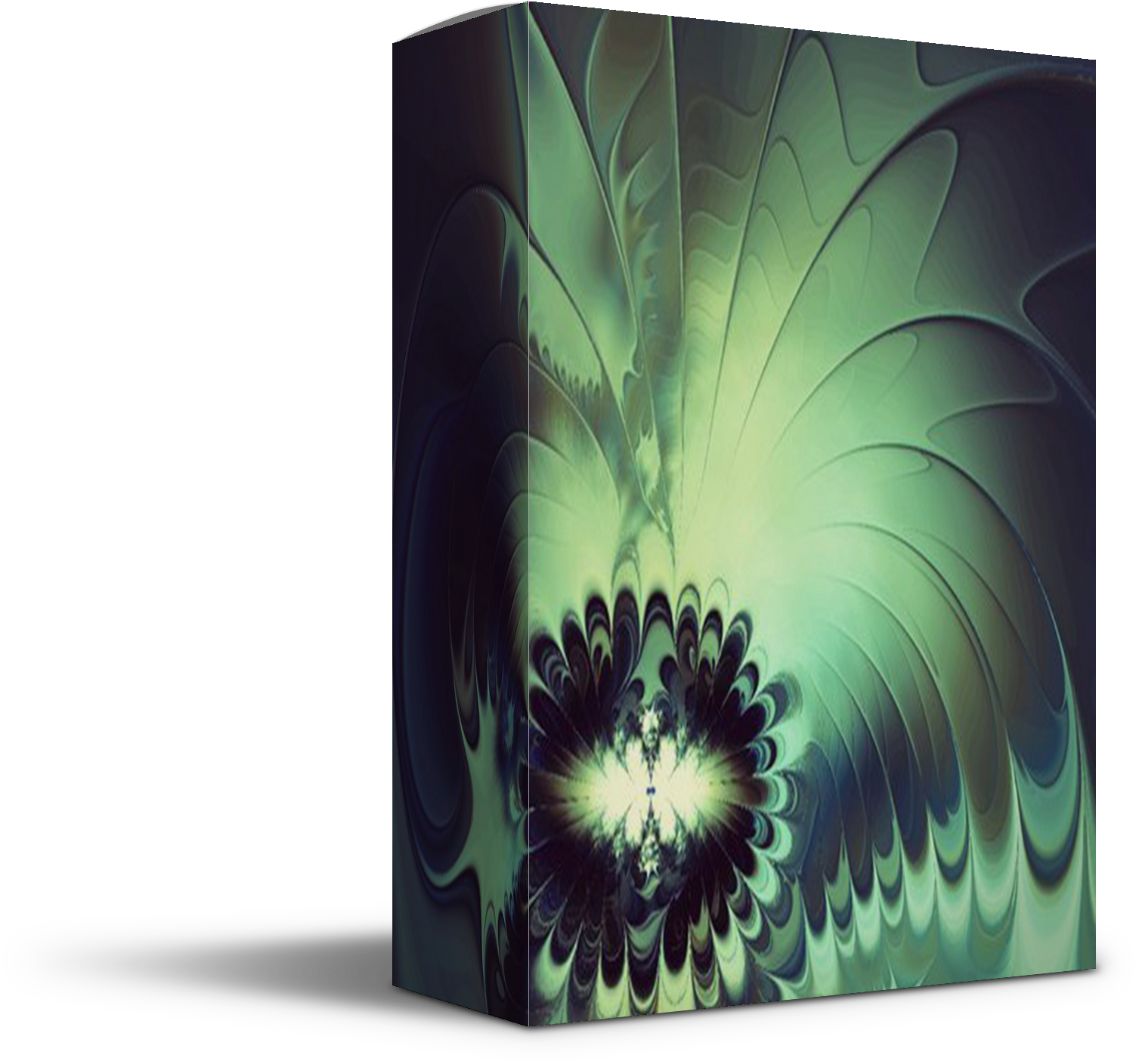 Jade Drum Kit - Floral Design (2000x1750), Png Download