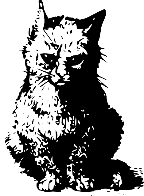 Cat, Silhouette, Illustration, Cats, Kitten, Pet - Wanted Cat Poster (469x640), Png Download