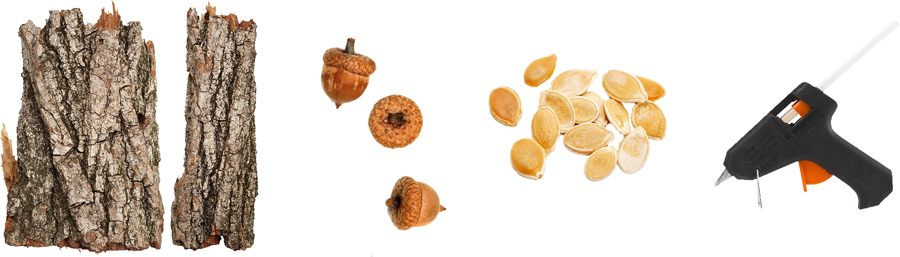 Download 1 Piece Of Bark From A Tree Of Your Choice Tree Bark Pieces Png Full Size Png Image Pngkit