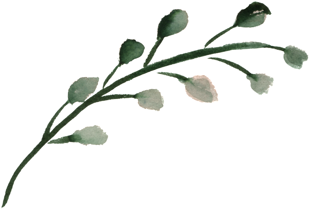 Watercolor Flower - Watercolor Painting (1024x686), Png Download