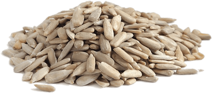 Sunflower Seeds - Sunflower Seeds Png (800x800), Png Download
