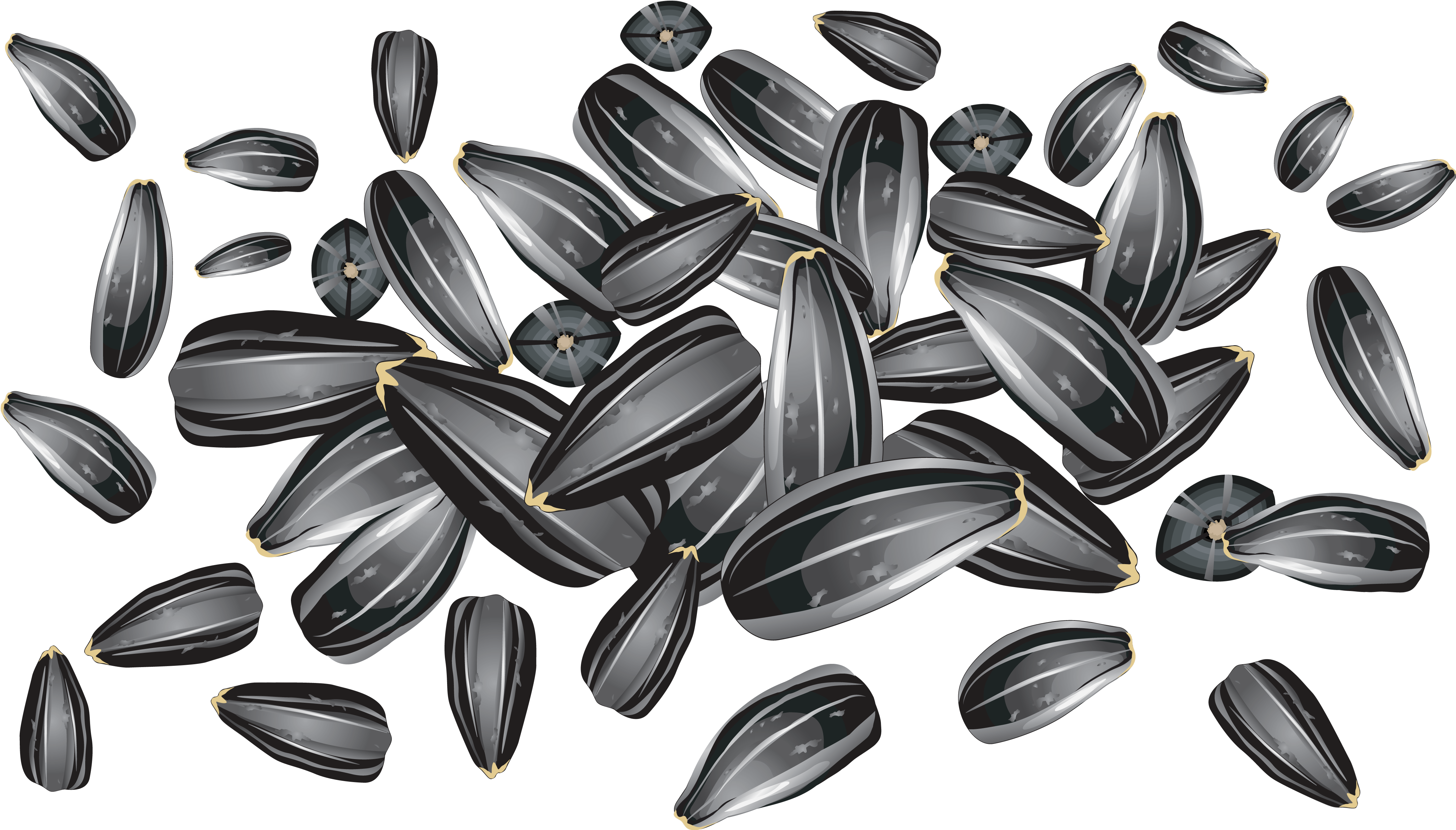Sunflower Clipart Sunflower Seed - Sunflower Seeds Vector Free (4598x2663), Png Download
