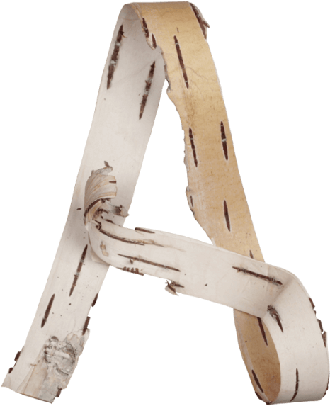 Birch Bark Font - Birch Bark (595x595), Png Download