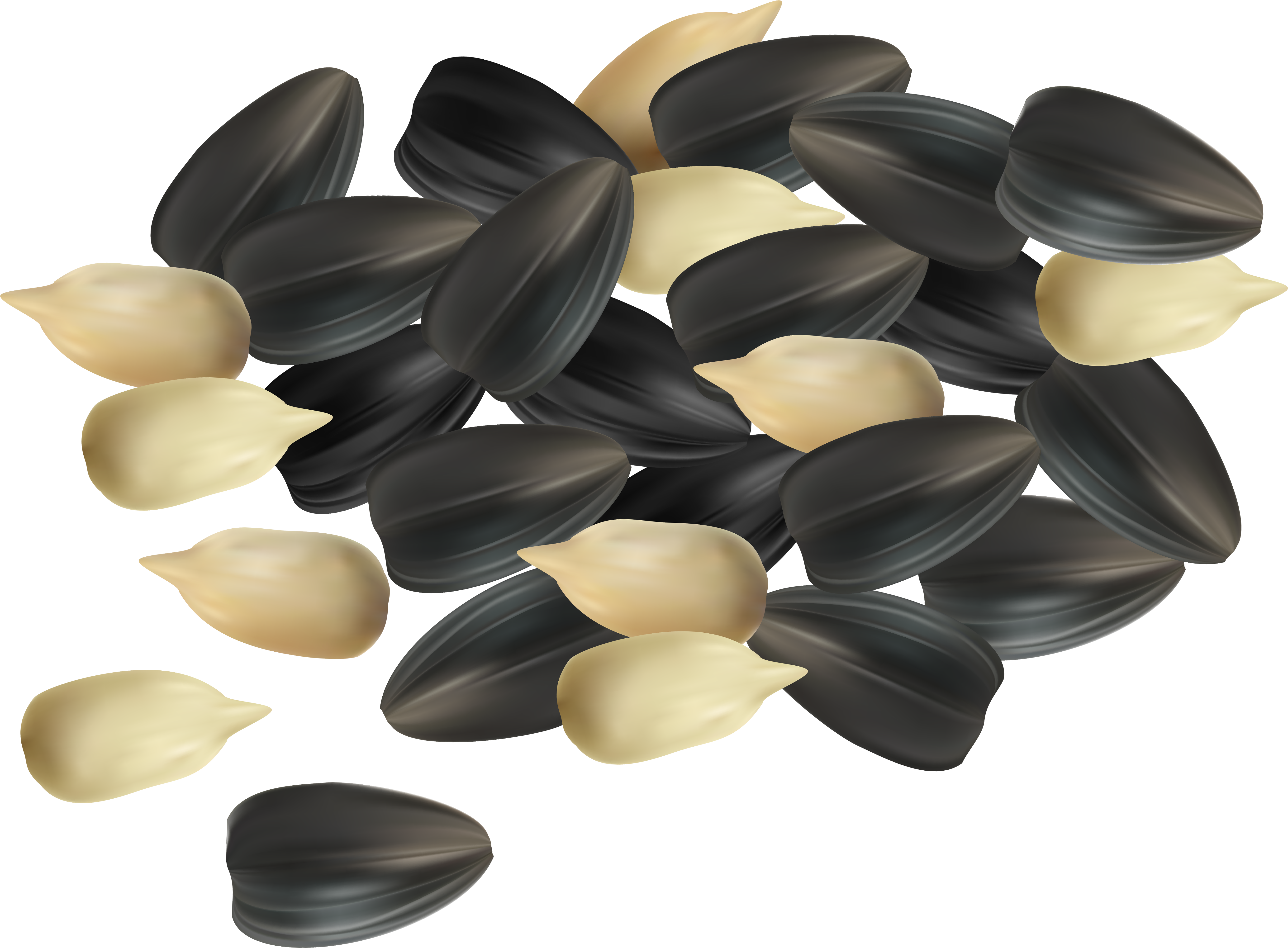 Seeds Clipart Png (5492x4122), Png Download