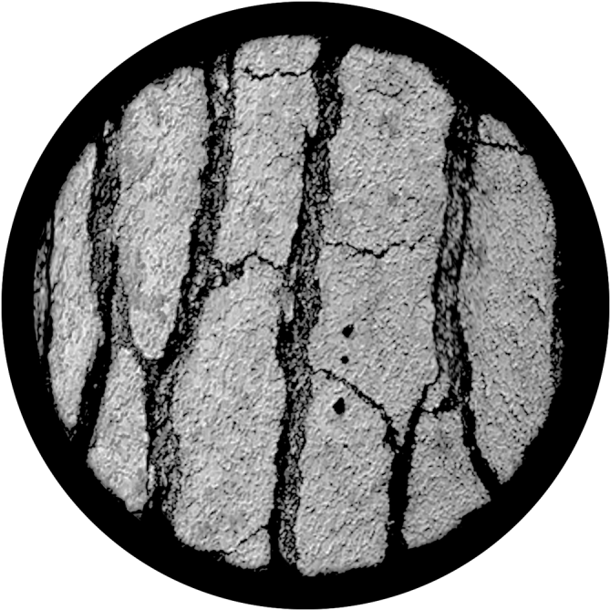 Tree Bark - Apollo Tree Bark Glass Gobo Sr-1012 (800x800), Png Download