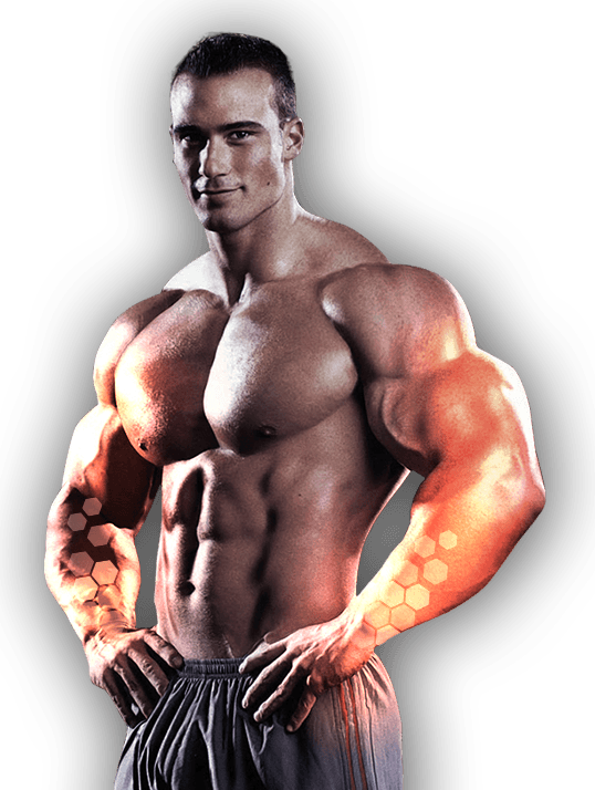 Use Bodybuilding Supplements To Create Your Body - Muscle (538x714), Png Download