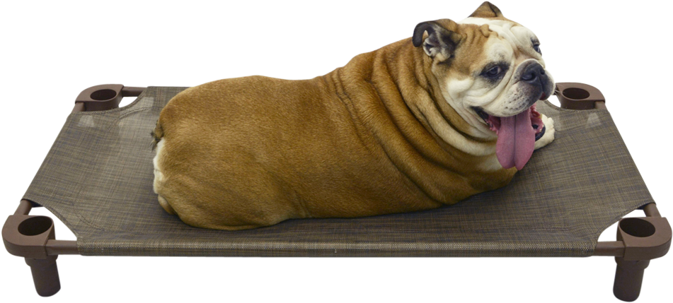 4legs4pets Place Board 40×22 Premium Tweed Cot - Bed (1000x1000), Png Download