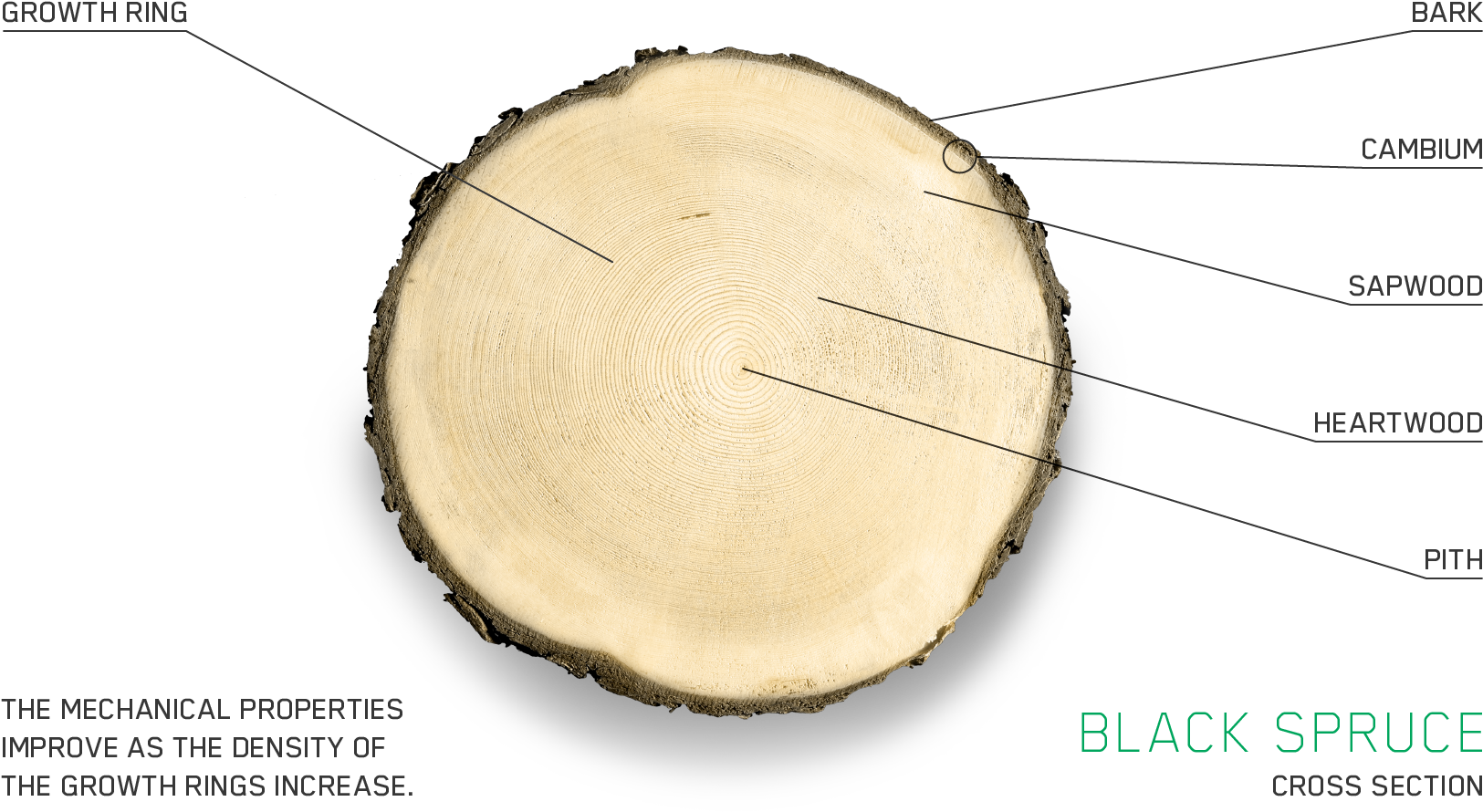 A Noble Species - Chantiers Chibougamau (1920x1080), Png Download