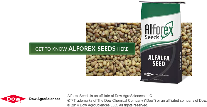 Get To Know Alforex Seeds Image - Alforex Seeds (723x380), Png Download