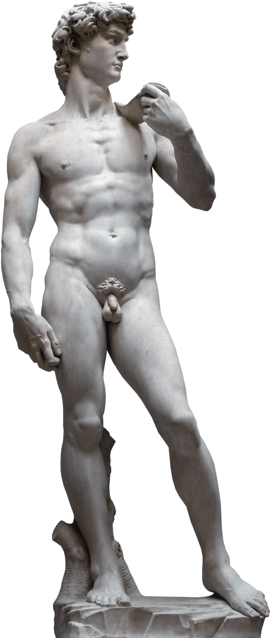 David - Accademia Di Belle Arti Firenze, David Statue (800x1329), Png Download