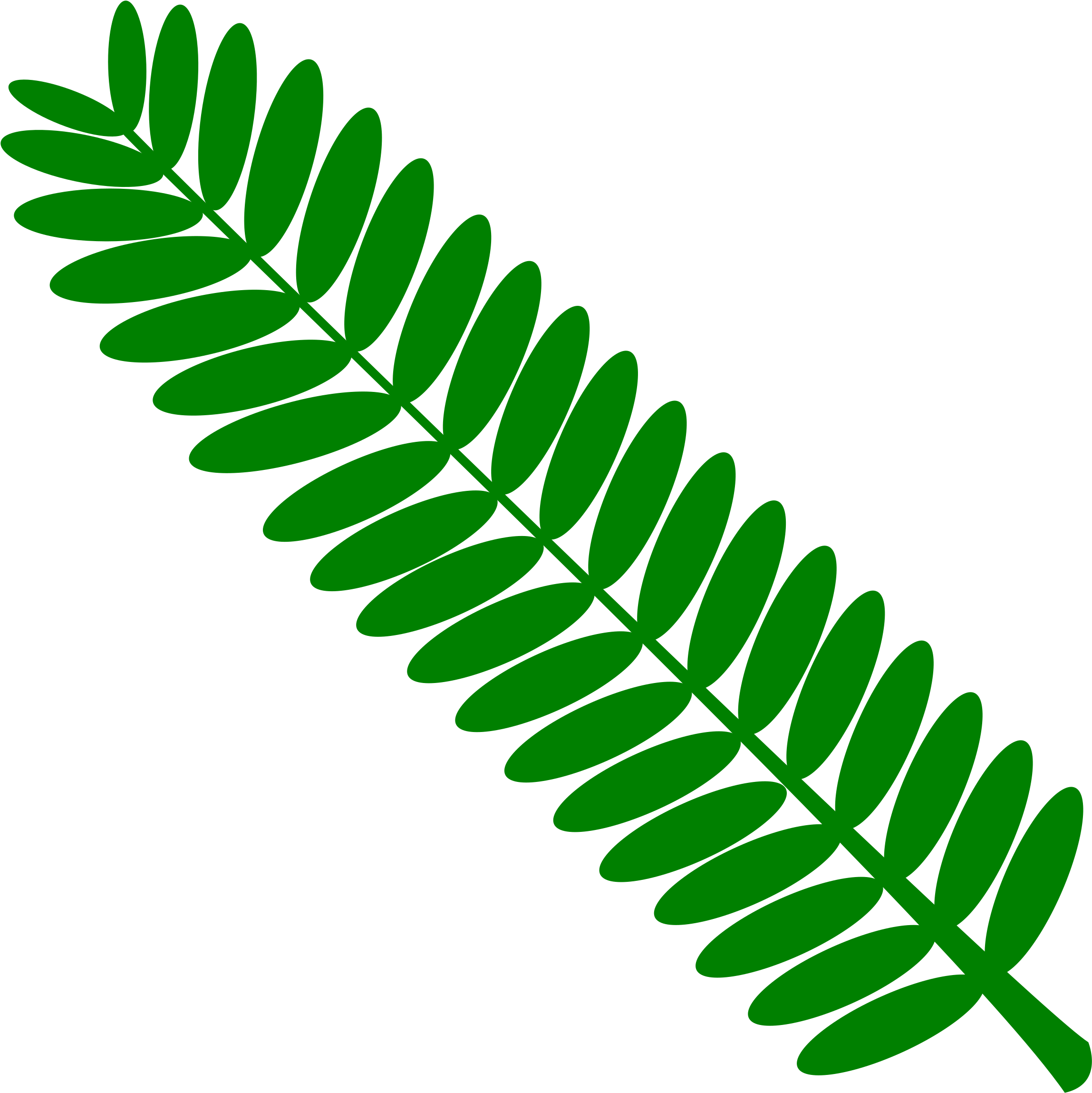 This Free Icons Png Design Of Mimosa Leaf Twig Plant (2400x2400), Png Download