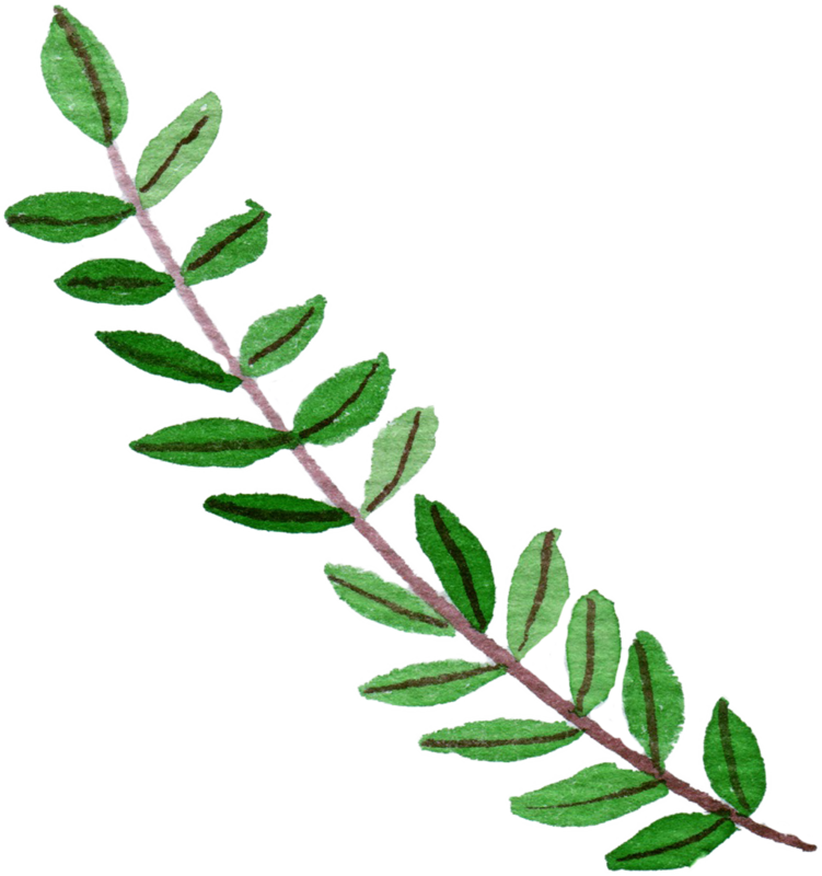 9 Frame - Branch (751x800), Png Download