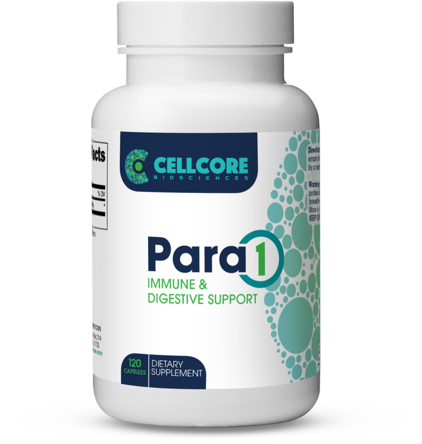 Immune & Digestive Support - Agaricus (1060x1061), Png Download