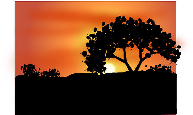 Dawn, Dusk, Twilight, Sunset, Sunrise, Tree, Desert - Dawn Clip Art (640x373), Png Download