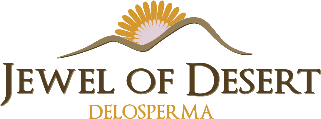Jewel Of Desert™ - Desert Logo (1349x611), Png Download