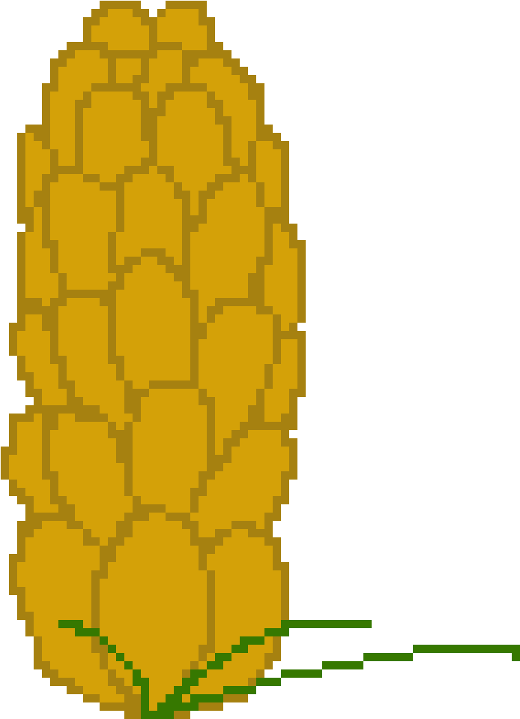 Male Pine Cone - Illustration (1200x1200), Png Download