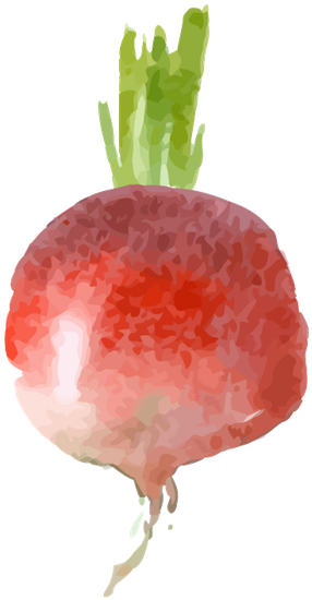 Chioggia Beet - Strawberry (600x600), Png Download