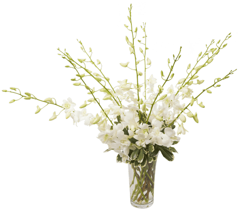 Orchid Beauty White, Small - Bouquet (500x611), Png Download