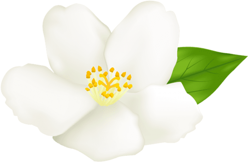 Clip Art (600x396), Png Download