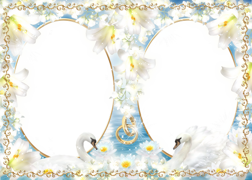 Two Frameworks For Wedding Photos - Wedding Swan Png Photoshop (500x357), Png Download