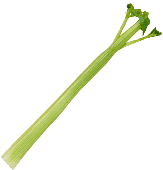 1 Stalk - Leek (640x640), Png Download