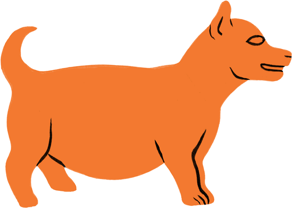 Dog (1600x1600), Png Download