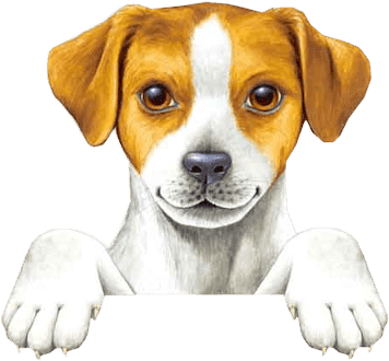 Unas Preciosas Imagenes De Mascotas, Perros Y Gatiros - Tarjetas De Presentacion Veterinario (391x348), Png Download