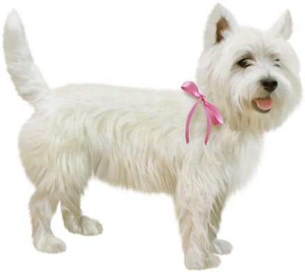 Animales Png, Perros, Formato Png, Collar De Perro - Dog (500x481), Png Download